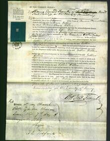 Court of Common Pleas - Esther Wollin-Original Ancestry