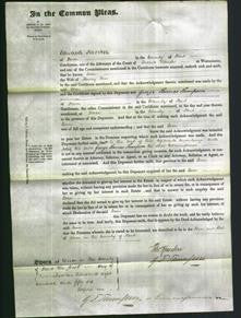 Court of Common Pleas - Ann Elve-Original Ancestry