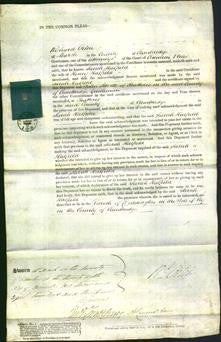 Court of Common Pleas - Sarah Hatfield-Original Ancestry