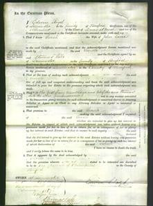 Court of Common Pleas - Sarah Lane-Original Ancestry