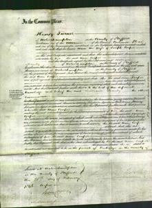 Court of Common Pleas - Ann Cooper-Original Ancestry