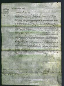 Court of Common Pleas - Sarah Mandy-Original Ancestry