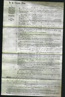 Court of Common Pleas - Elizabeth Lacey Smithurst and Mary Ann Elson-Original Ancestry