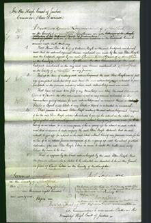 Court of Common Pleas - Ellen Hoyle-Original Ancestry