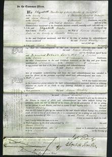 Court of Common Pleas - Maria Buckley-Original Ancestry