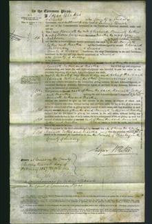 Court of Common Pleas - Harriett Pannett, Esther Avery and Martha Ashdown-Original Ancestry