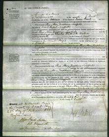 Court of Common Pleas - Eliza Mary Josephina Swaffield-Original Ancestry