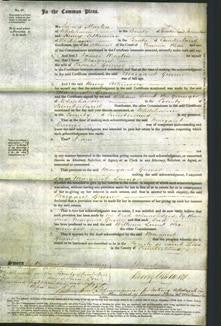 Court of Common Pleas - Margaret Greener-Original Ancestry