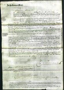 Court of Common Pleas - Mary Shotbolt-Original Ancestry