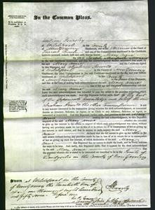 Court of Common Pleas - Mary Anne Morris-Original Ancestry
