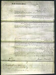 Court of Common Pleas - Mary Anne Lambert-Original Ancestry