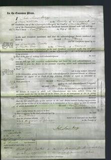 Court of Common Pleas - Anne Rees Mogg-Original Ancestry