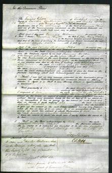Court of Common Pleas - Caroline Clayton Webster-Original Ancestry