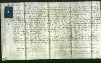 Court of Common Pleas - Caroline Eliza McGavock-Original Ancestry