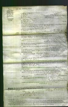 Court of Common Pleas - Elizabeth Kitson and Sarah Ann Sayles-Original Ancestry