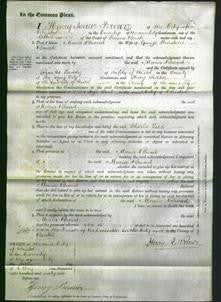 Court of Common Pleas - Maria Broad-Original Ancestry