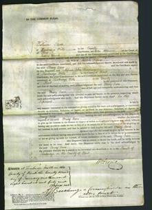 Court of Common Pleas - Mary Jane Delves-Original Ancestry