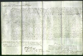 Court of Common Pleas - Harriott Bridget Russell and Margaret Russell-Original Ancestry