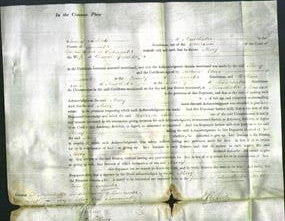 Court of Common Pleas - Mary Greenhalgh-Original Ancestry