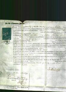 Court of Common Pleas - Sarah Dennis-Original Ancestry