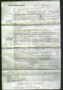 Court of Common Pleas - Elizabeth Warr and Ann Leddington-Original Ancestry