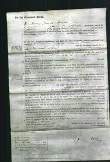 Court of Commn Pleas - Catherine Saxton-Original Ancestry