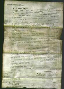 Court of Common Pleas - Sarah Johnson-Original Ancestry