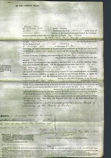 Court of Common Pleas - Eliza Anne Brook-Original Ancestry