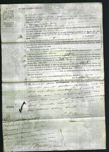 Court of Common Pleas- Isabella Anne Rowland-Original Ancestry