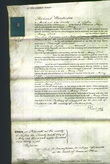 Court of Common Pleas - Mary Ford-Original Ancestry