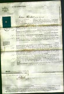 Court of Common Pleas - Ann Pawley, Sophia Montague-Original Ancestry