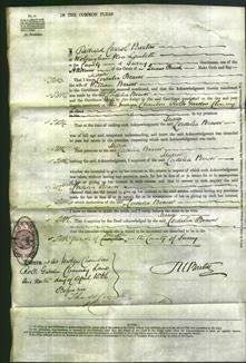 Court of Common Pleas - Cordelia Beaver-Original Ancestry