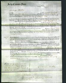 Court of Common Pleas - Harriet Hall-Original Ancestry