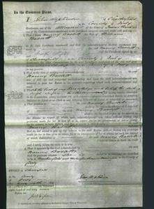 Court of Common Pleas - Nanny Bassett-Original Ancestry