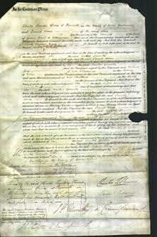 Court of Common Pleas - Annabel Glanville-Original Ancestry