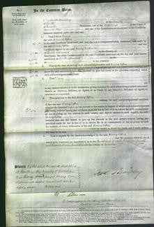 Court of Common Pleas - Mary Sykes-Original Ancestry