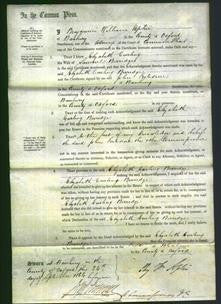 Court of Common Pleas - Elizabeth Curling Berridge-Original Ancestry
