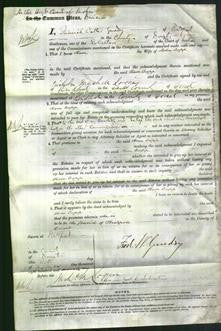 Court of Common Pleas - Rose Copp-Original Ancestry