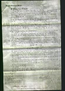 Court of Common Pleas - Elizabeth Smith-Original Ancestry