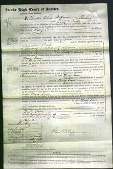 Court of Common Pleas - Mary Jane Machin-Original Ancestry