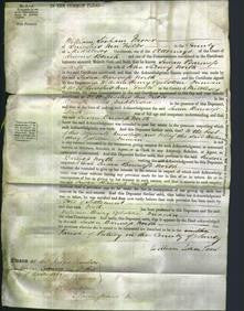 Court of Common Pleas - Susan Baroness North-Original Ancestry