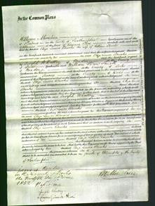 Court of Common Pleas - Eliza Louisa Rhoades-Original Ancestry