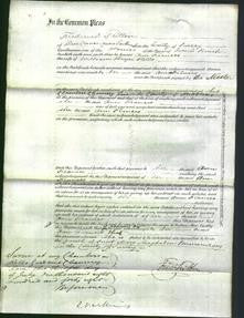 Court of Common Pleas - Ann Frances Rolls-Original Ancestry