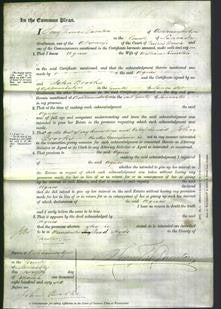 Court of Common Pleas - Agnes Kniveton-Original Ancestry