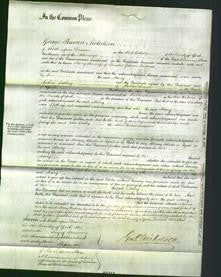 Court of Common Pleas - Mary Vickers