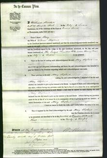 Court of Common Pleas - Mary Stephens-Original Ancestry