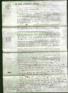 Court of Common Pleas - Priscilla Wrigley-Original Ancestry