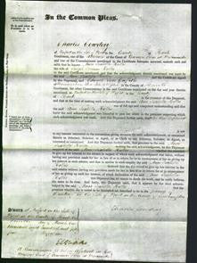 Court of Common Pleas - Ann Isabella Hollis-Original Ancestry