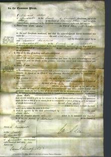 Court of Common Pleas - Joan Julia Fletcher-Original Ancestry