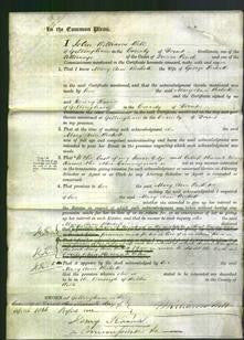 Court of Common Pleas - Mary Ann Beckett-Original Ancestry